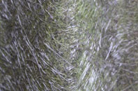 Hickling Green fibreglass roof work